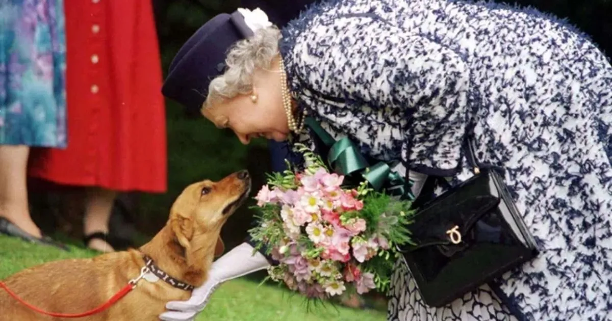 Murah Meriah! Ratu Elizabeth Luncurkan Parfum Anjing di Bawah 200K