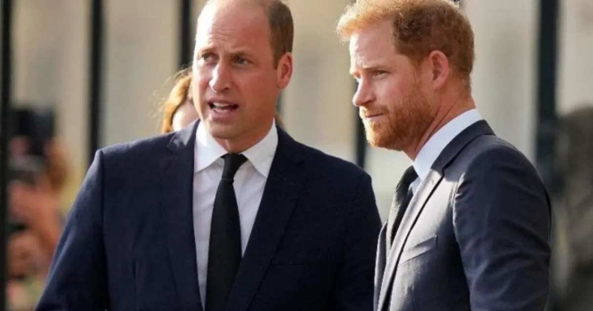 Pangeran William dan Harry Langgar Pesan dari Putri Diana
