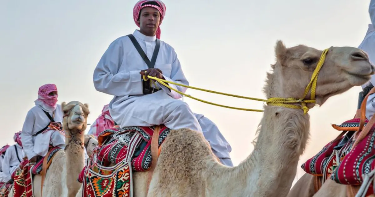 Wow! Putra Mahkota Arab Saudi Gelar Lomba Balapan Unta Berhadiah Rp222 Miliar. Tertarik Coba?