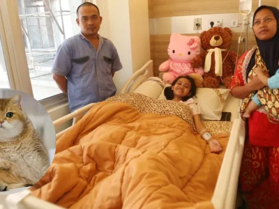 Sangat Tegar! Nabila Puteri Tak Menyesal Selamatkan Kucing, Meski Kakinya Diamputasi