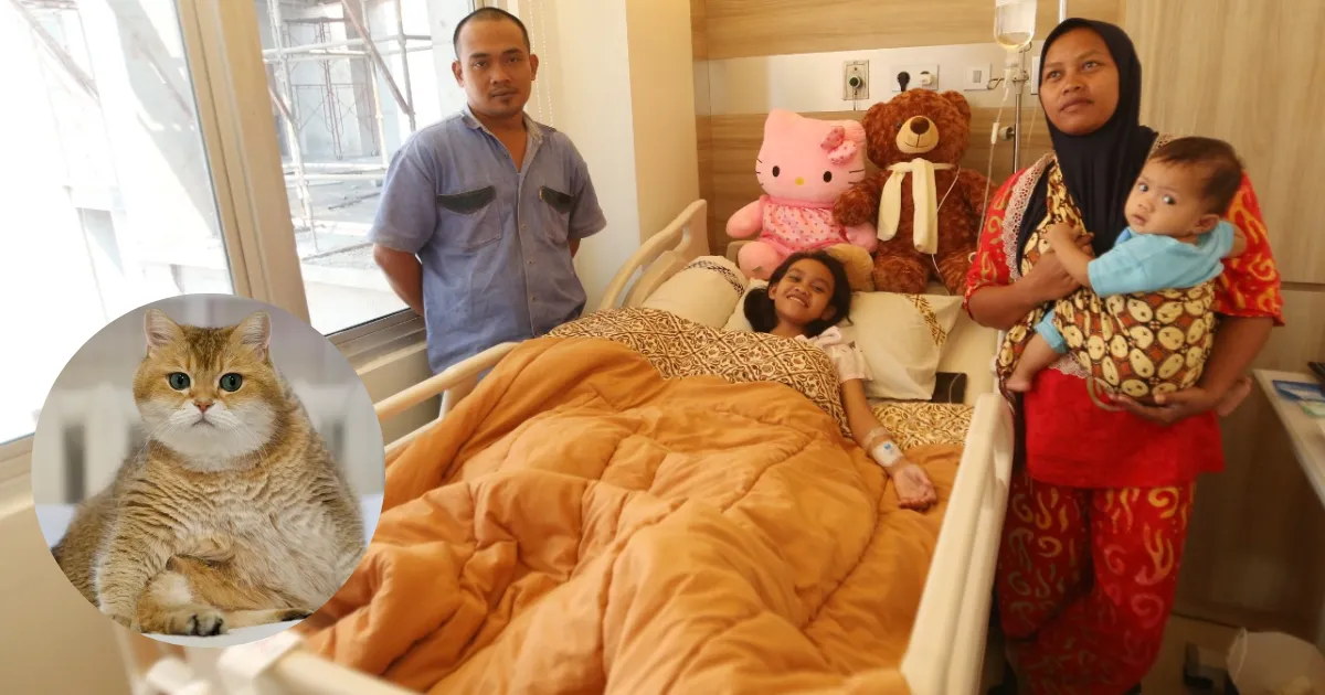 Sangat Tegar! Nabila Puteri Tak Menyesal Selamatkan Kucing, Meski Kakinya Diamputasi