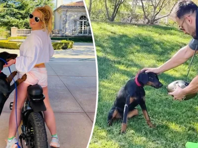 Britney Spears dan Sam Asghari Rebutan Kepemilikan Anjing Peliharaan