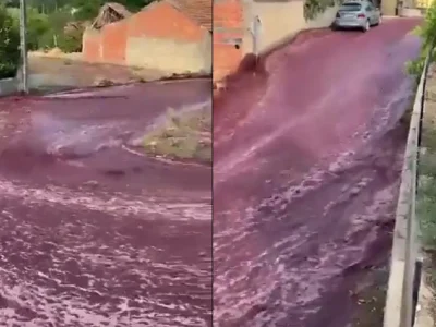 Fakta Dibalik 22 Juta Liter Wine Banjiri Pemukiman Warga di Portugal