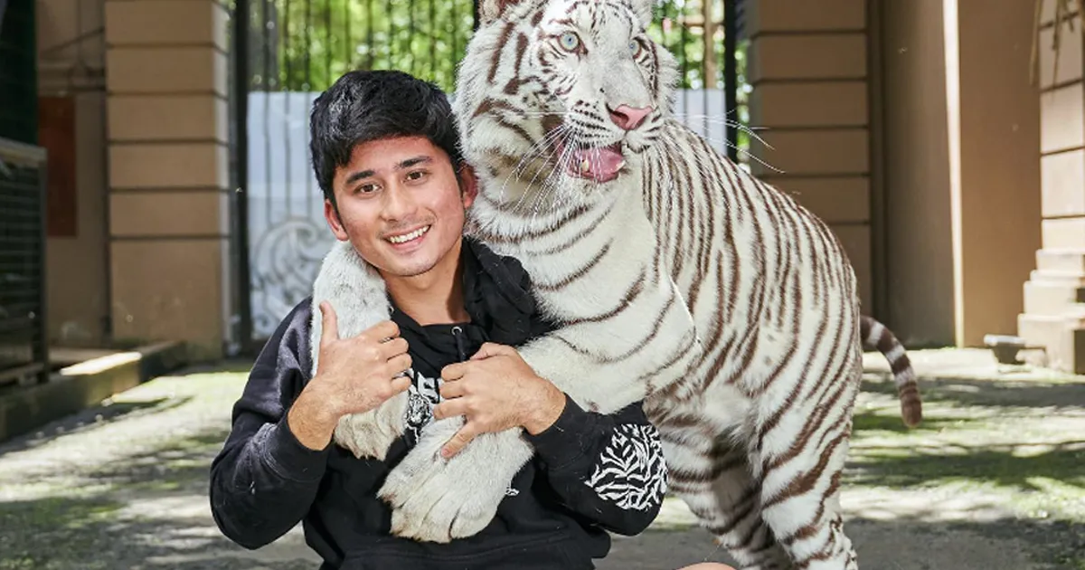 Jawaban Alshad Ahmad usai Dituding Tewaskan 6 Anak Harimau