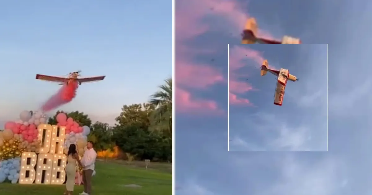 Pesta Gender Reveal di Meksiko Berakhir Tragis. Tewaskan Pilot!