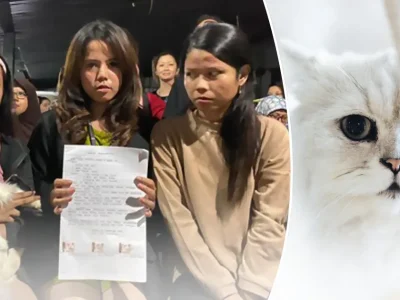 Tega! Tiga Perempuan ini Cekoki Kucing dengan Miras