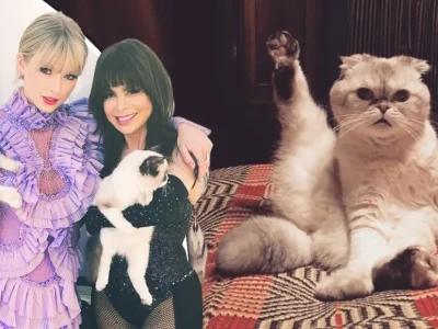 10 Potret Gemas Taylor Swift dengan Kucing-kucing Kesayangannya