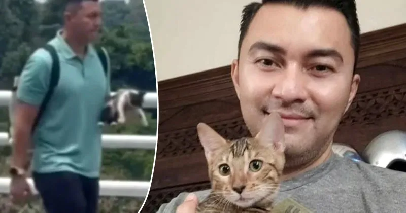 Penyayang Hewan, Anjasmara Selamatkan Anak Kucing Terlantar di Pinggir Jalan