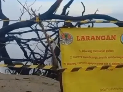 Papan berisi larangan berswafoto di kayu mati Kawah Ijen usai ada turis Cina yang jatuh saat berfoto. Foto : Instagram/kawahijenindonesia