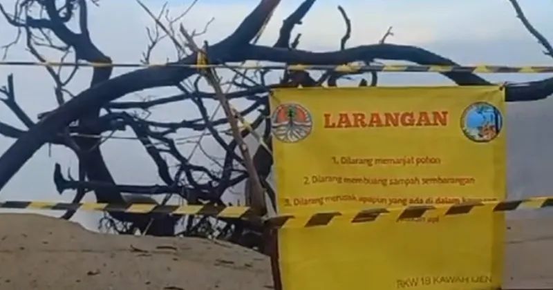 Spot Foto Kayu Mati Ditutup Usai Turis Cina Jatuh di Kawah Ijen