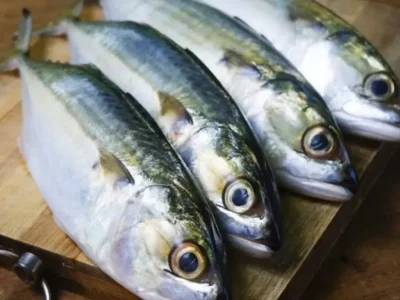Ikan Kembung kaya Omega-3. (Foto: Freepik)