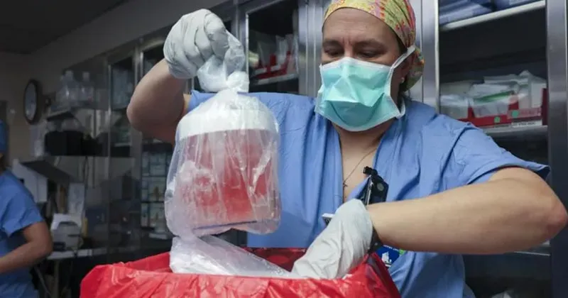 Berjalan Sukses, Pasien Transplantasi Ginjal Babi Akhirnya Pulang
