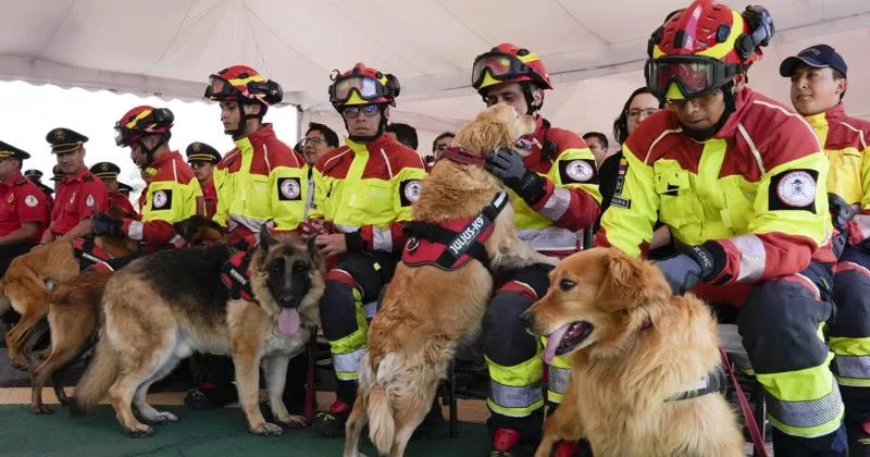 5 Anjing Penyelamat di Ekuador Dipensiunkan
