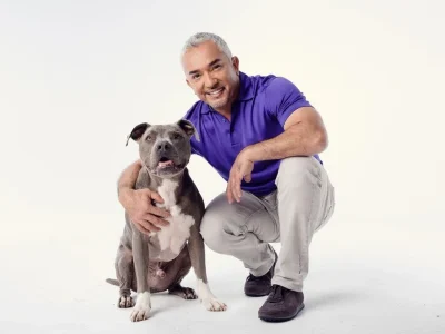 TERKENAL: Psikolog anjing, Cesar Milan akan hadir di Pet Fest Indonesia. (Foto: Instagram/cesarmillan)