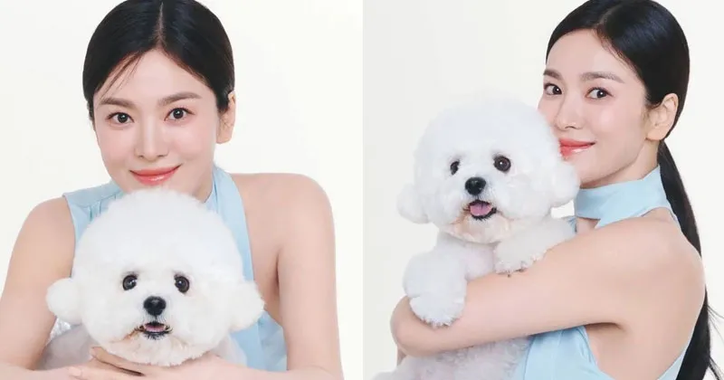 Gemas! Song Hye Kyo Ajak Anjing Kesayangannya Foto Bareng