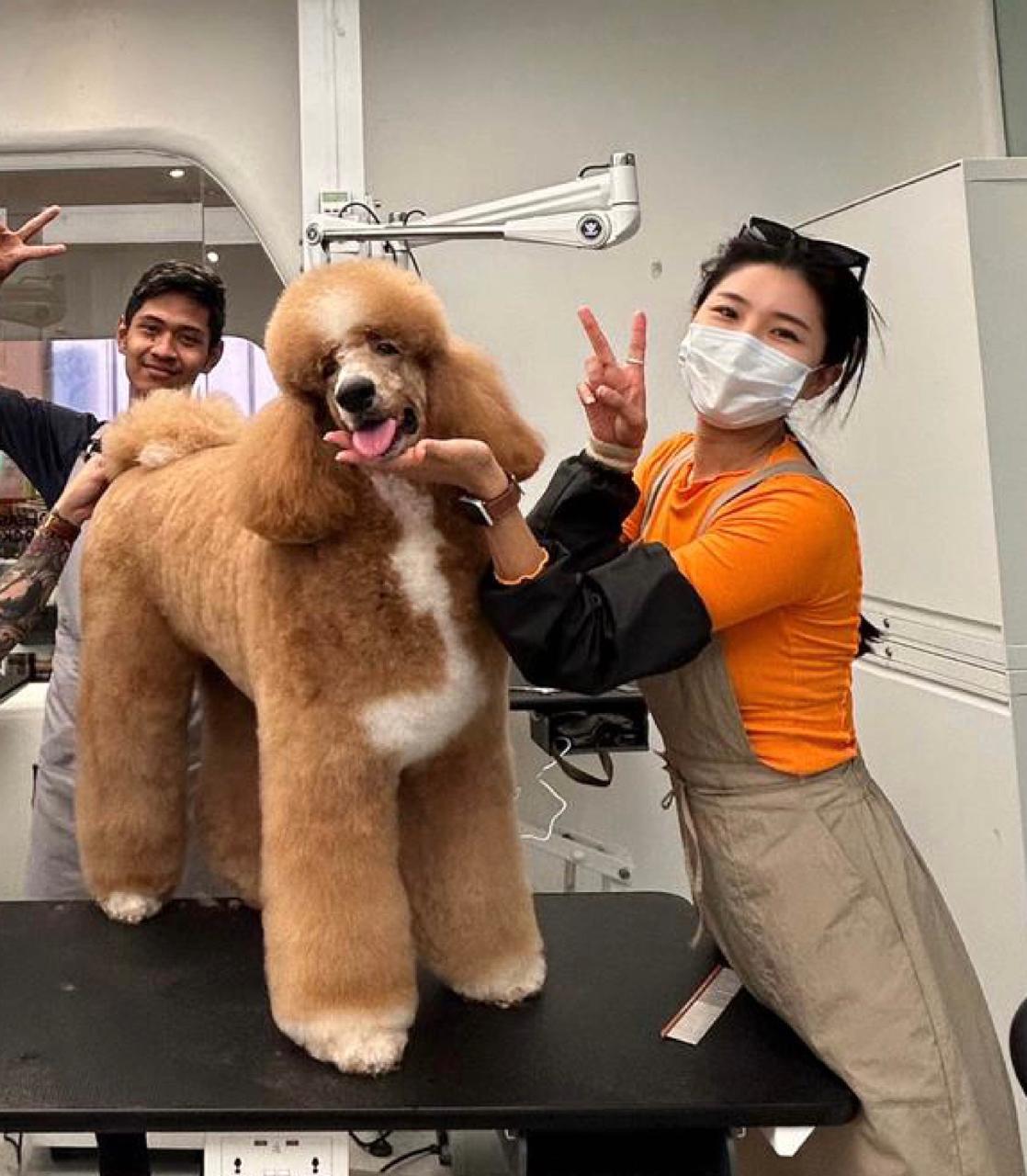 BAKAL HADIR: Lee Hyun Ae, ahli Pet Stylist Korea. (Foto: Dok. Pribadi)