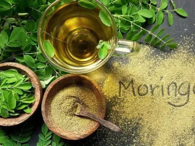 Bubuk daun kelor memiliki sederet manfaat. Foto : Shutterstock