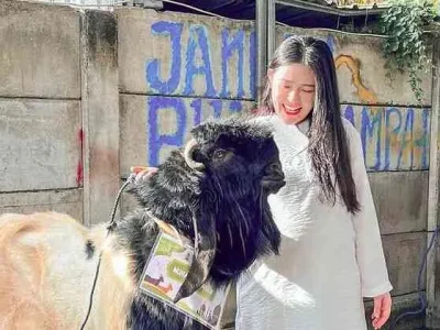 Potret Via Vallen dengan kambing kurbannya. Foto : Instagram/viavallen