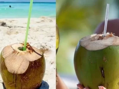 Kelapa segar memiliki segudang manfaat bagi kesehatan. (Foto: Pinterest/Stylecraze)
