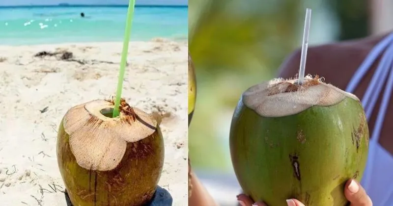 6 Manfaat Air Kelapa Bagi Kesehatan Tubuh, Bisa Jaga Berat Badan