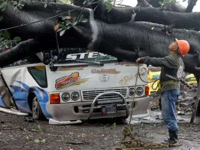 Pohon besar tumbang akibat hujan beserta badai yang menerjang di San Salvador, El Savador, Kamis (20/6). (Foto: Reuters/Jose Cabezas)