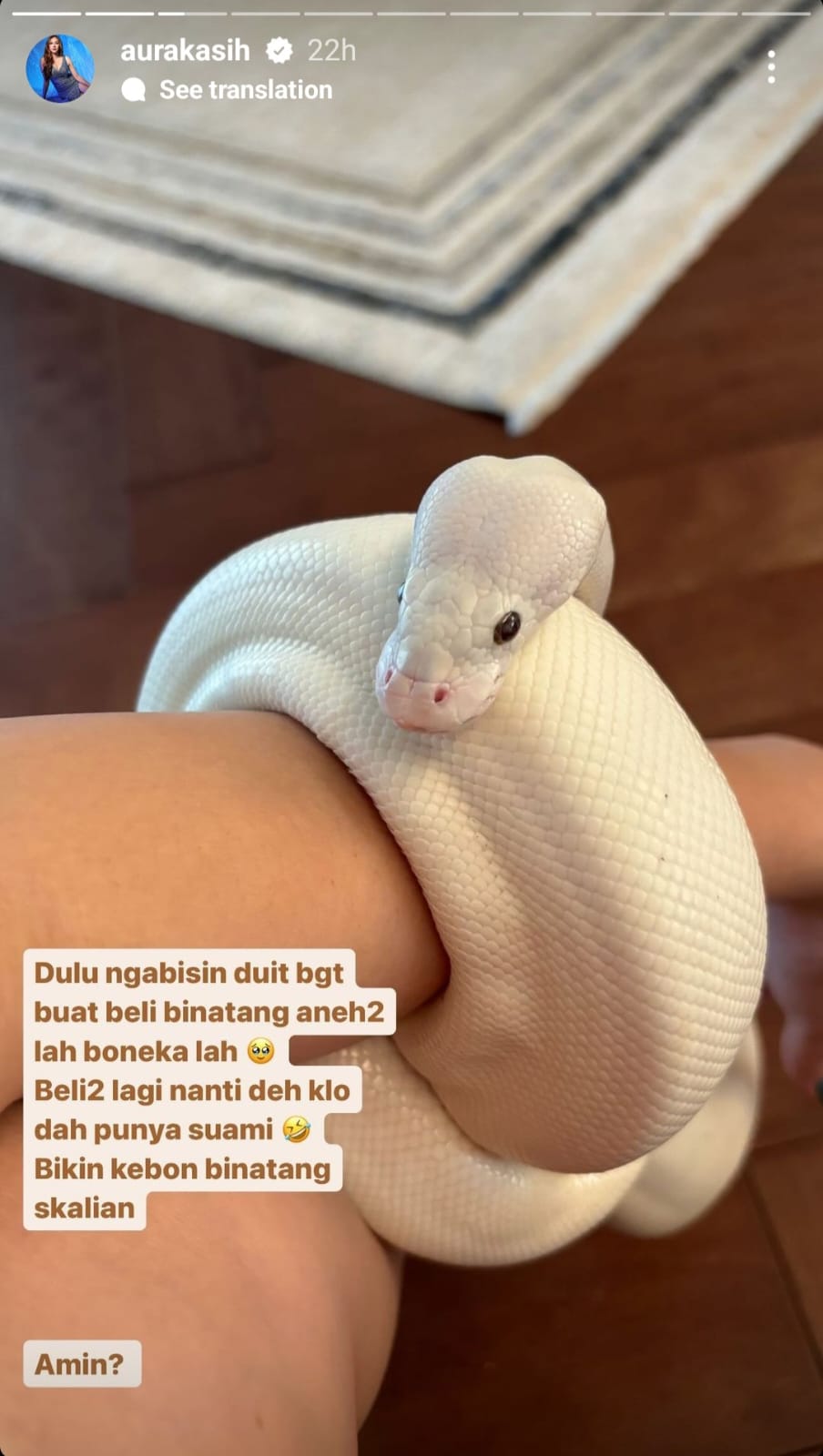 Unggahan Aura Kasih memamerkan ularnya dan menyebut ingin punya kebun binatang. Foto: Dok. Instagram @aurakasih
