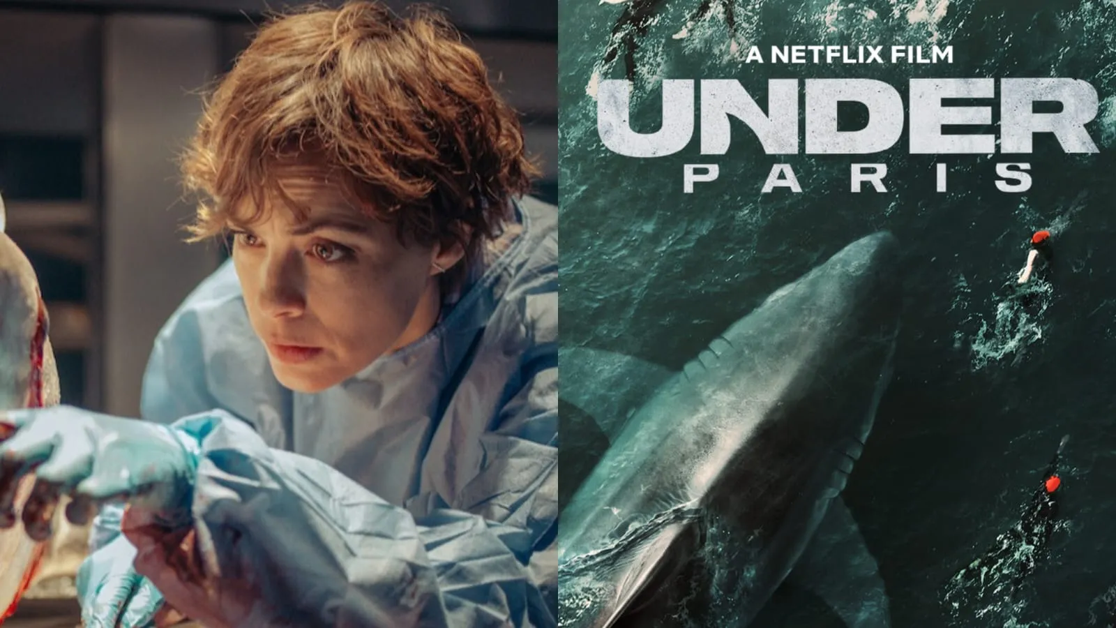 Trending Di Netflix, Film Under Paris Terinspirasi dari Kisah Nyata?