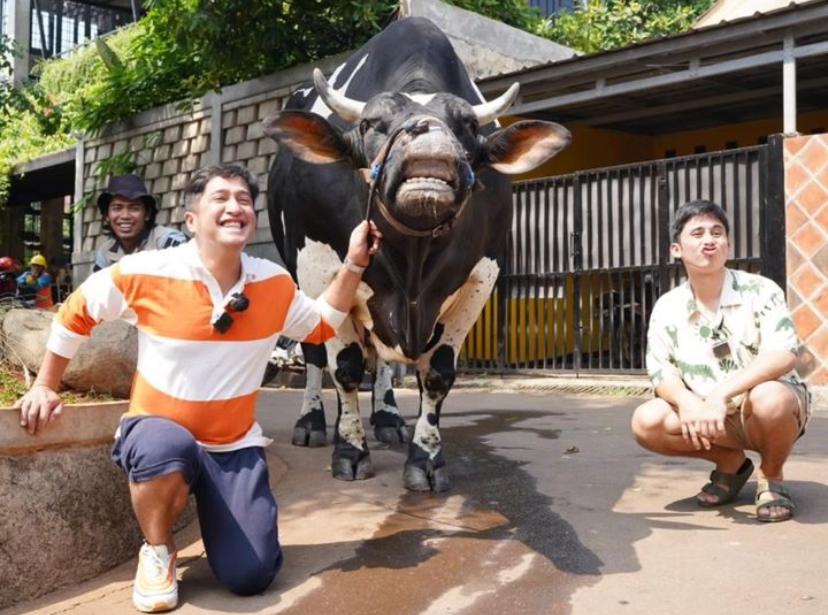 Sapi yang diberi nama Condrosimo oleh Irfan Hakim. Foto : Instagram/irfanhakim75