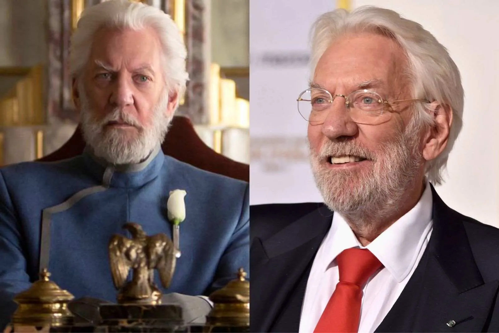 Pemeran The Hunger Games, Donald Sutherland Meninggal Dunia