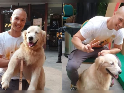 Bima Aryo beri tips memilik makanan yang tepat untuk Anjing Peliharaan. (Foto: Agnes/Nyata)