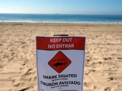 Papan peringatan terpasang di pantai Texas pasca kejadian wisatawan diserang hiu. Foto Istimewa