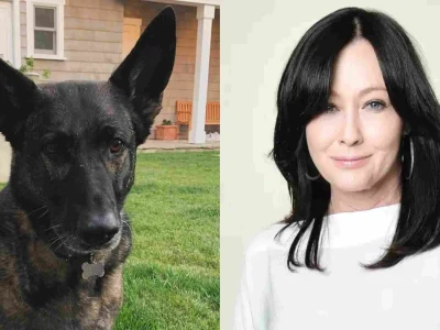Anjing setianya, Bowie, mendeteksi kanker Shannen Doherty sebelum diagnosis dokter (Foto: instagram/theshando, Getty Images)