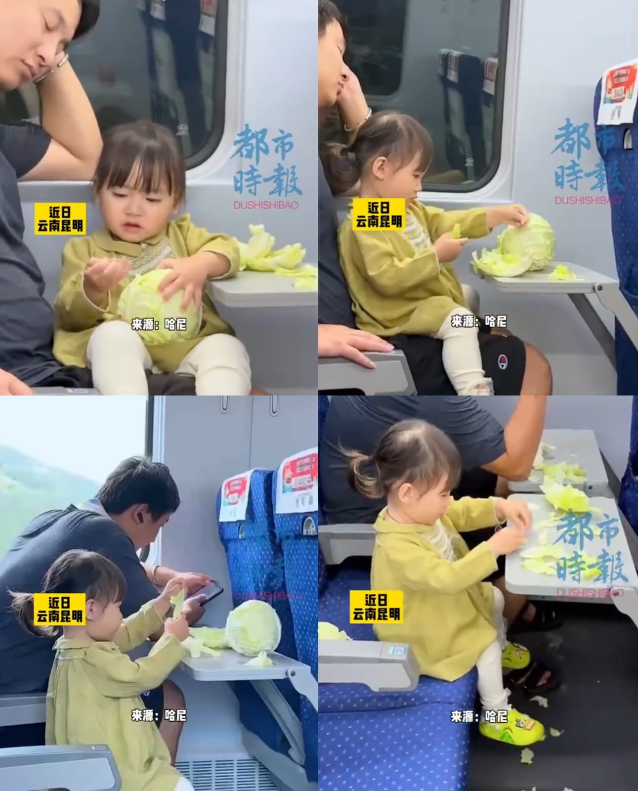 Balita di China yang diberi kubis oleh ayahnya selama perjalanan. Foto: Dok. Weibo