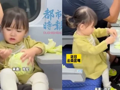 Ayah di China manfaatkan kubis untuk cegah anak rewel. Foto: Dok. Weibo