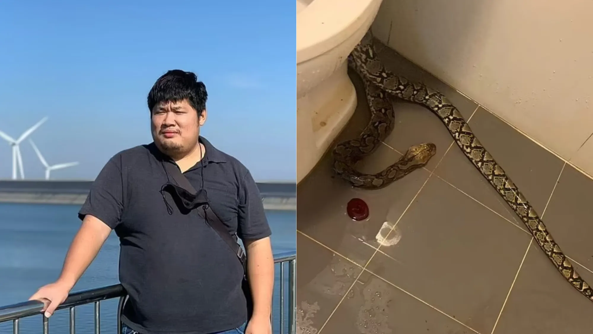 Ngeri, Testis Pria di Thailand Digigit Ular Saat BAB