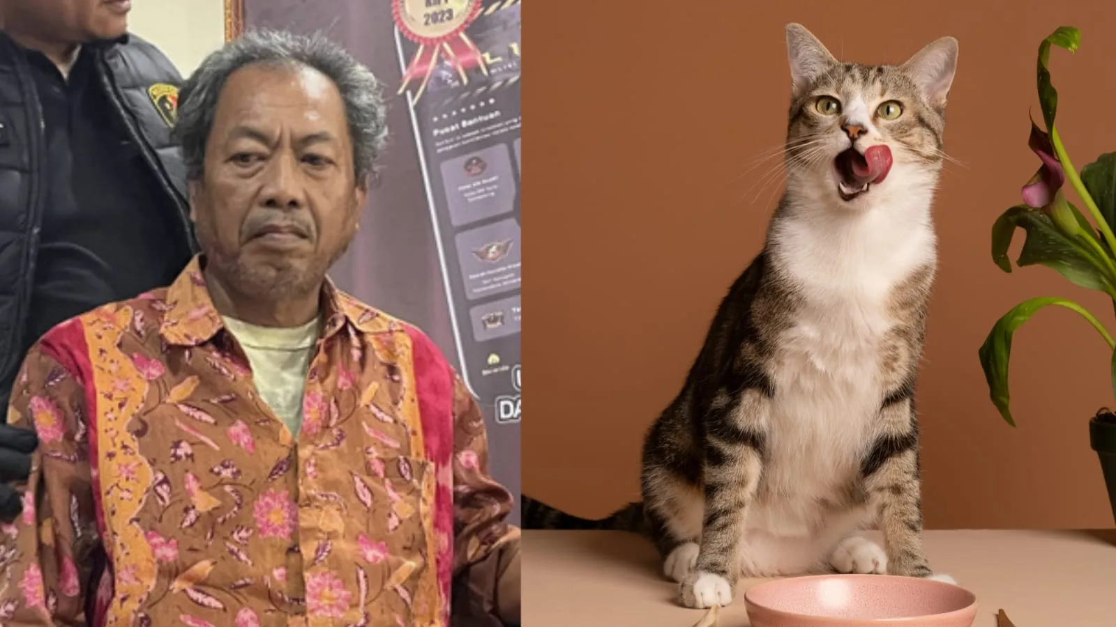 Bapak Kos di Semarang Makan Kucing, Resmi Jadi Tersangka