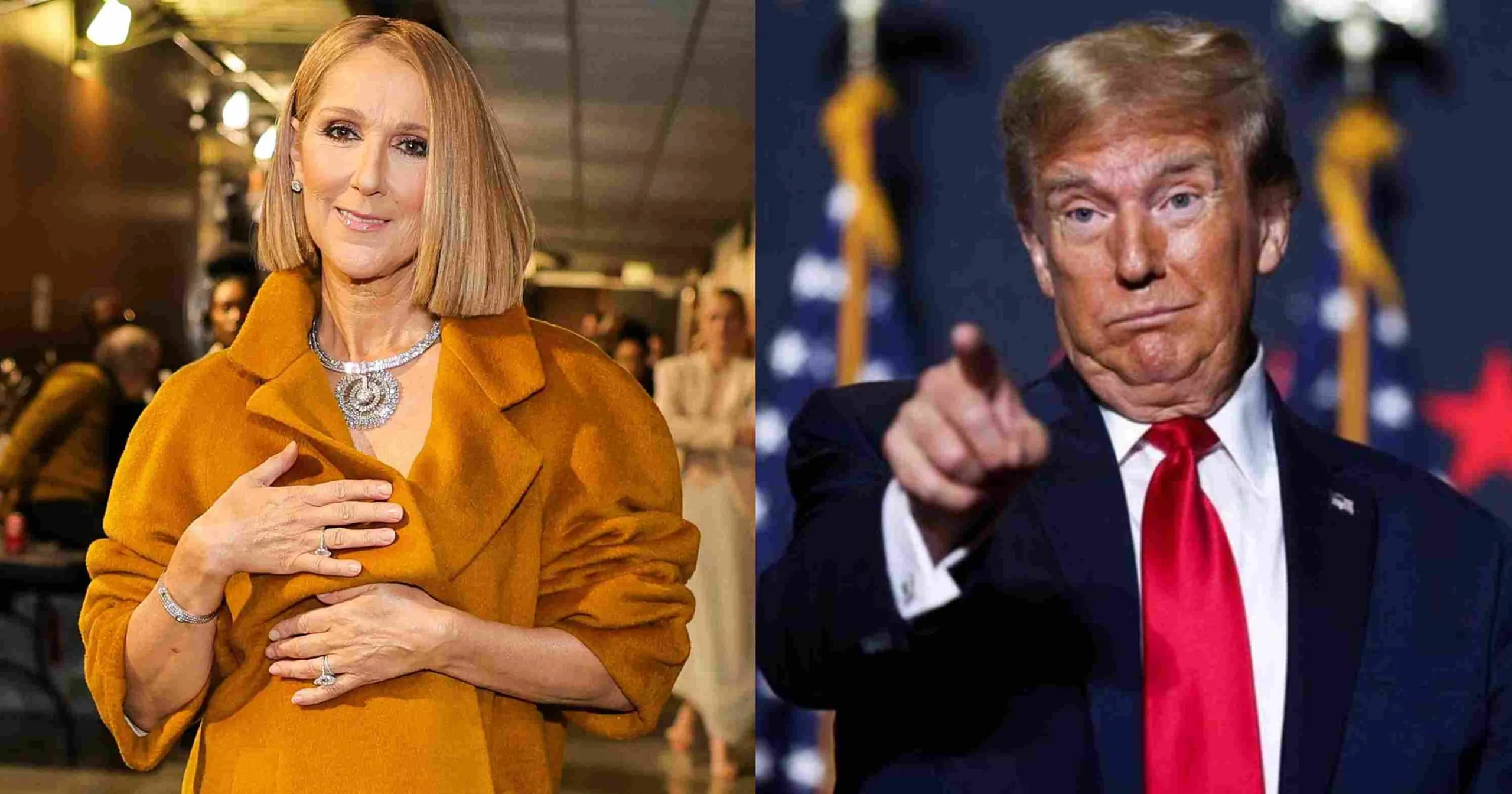 Celine Dion Marah ke Trump, Lagu ‘Titanic’ Dipakai Kampanye