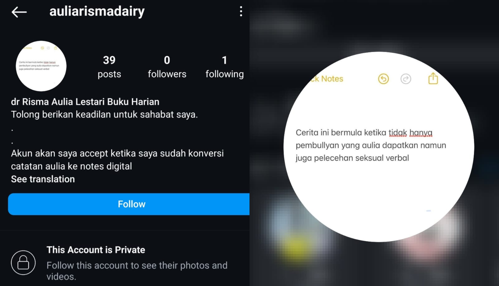 Akun Instagram yang menyebut dokter PPDS Undip mengalami pelecehan seksual. Foto: Dok. Instagram @auliarismadairy