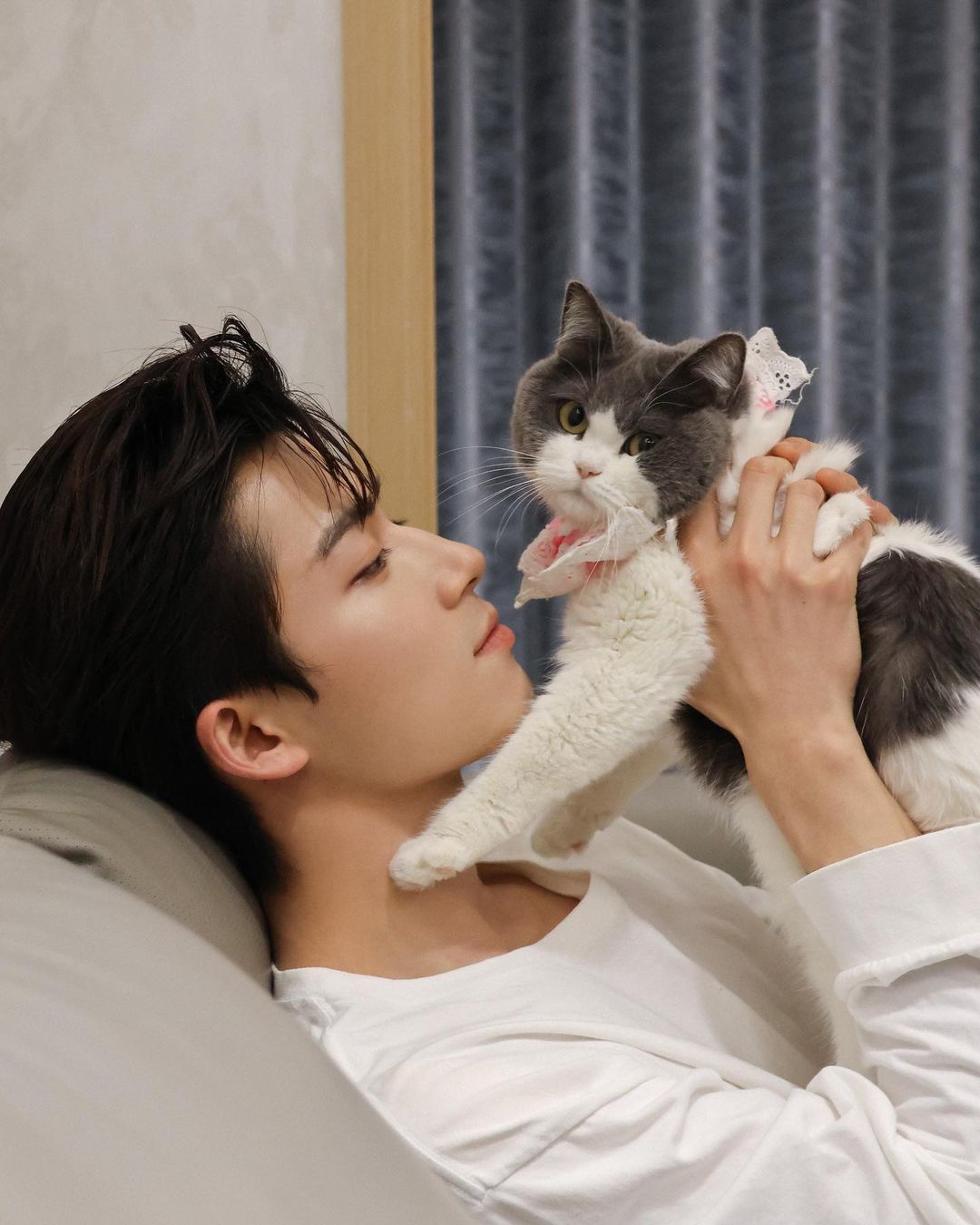 Wang Xingyue aktor muda dari China hobi pelihara kucing. (Foto: NET)