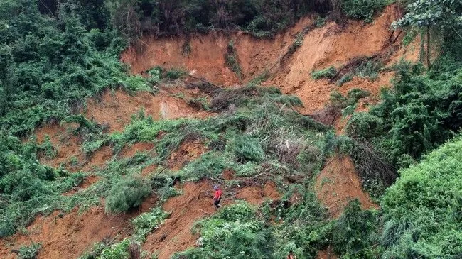 Tambang Emas di Sumatera Barat Longsor, 15 Orang Tewas