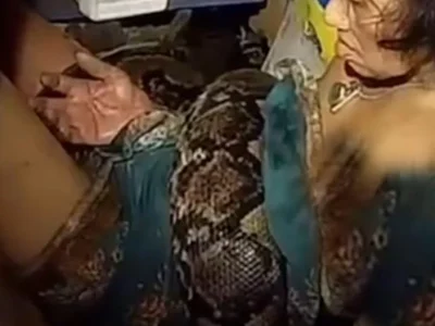 Arrom Arunroj, wanita Bangkok berusia 64 tahun dililit ular piton sepanjang 4 meter. (Foto: Tangkapan layar dari video penyelamat)