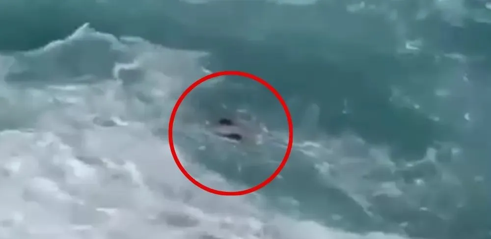 Pelajar Terseret Ombak di Pantai Kedung Tumpang Tulungagung