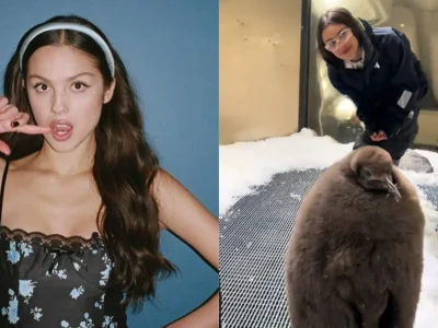 Olivia Rodrigo bertemu dengan Pesto, si penguin menggemaskan. Foto: Dok. Instagram, TikTok @oliviarodrigo