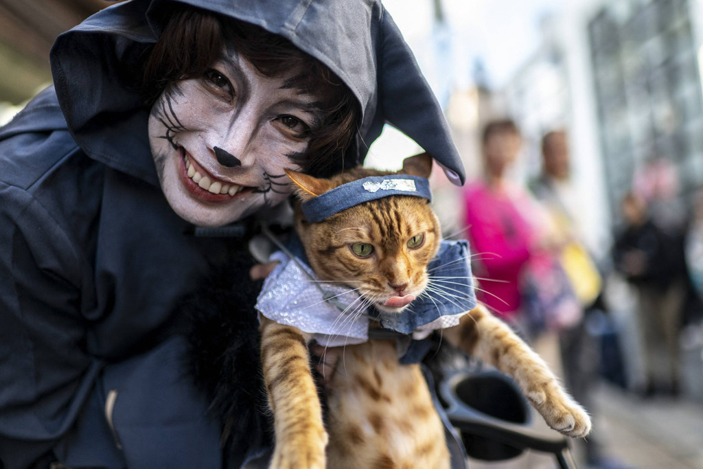 Mengajak serta kucing peliharaan. Foto: Dok. Philip Fong/AFP