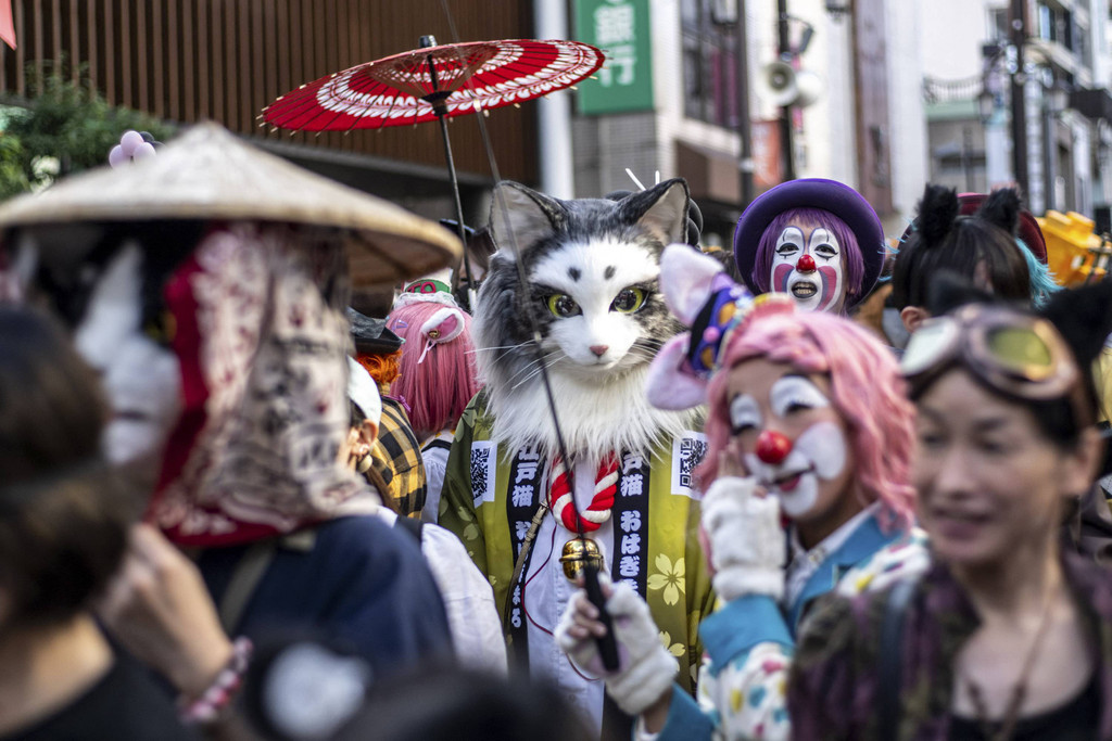 Totalitas berdandan menjadi kucing. Foto: Dok. Philip Fong/AFP