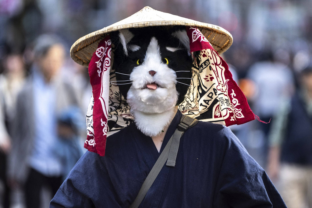 Topeng kucing mirip hewan aslinya. Foto: Dok. Philip Fong/AFP