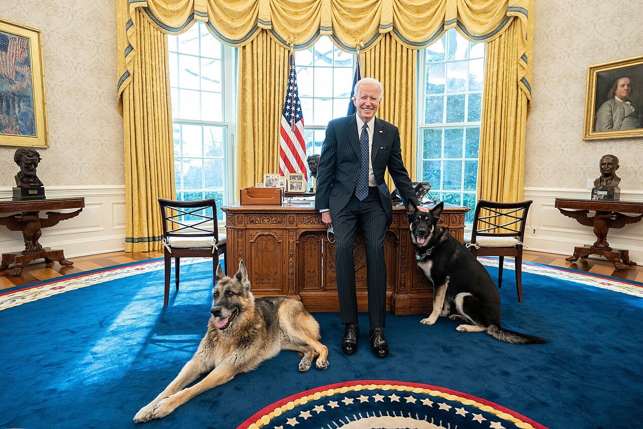 Joe Biden bersama Major (hitam, berdiri di sebelah Biden) dan Champ (bulu berwarna cokelat). Foto: Dok. White House