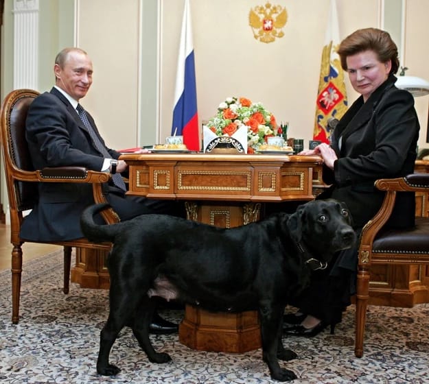 Konni ikut mendampingi Vladimir Putin saat bertemu Valentina Tereshkova. Foto: Dok. Dmitry Astakhov/PAP/EA/RMF24
