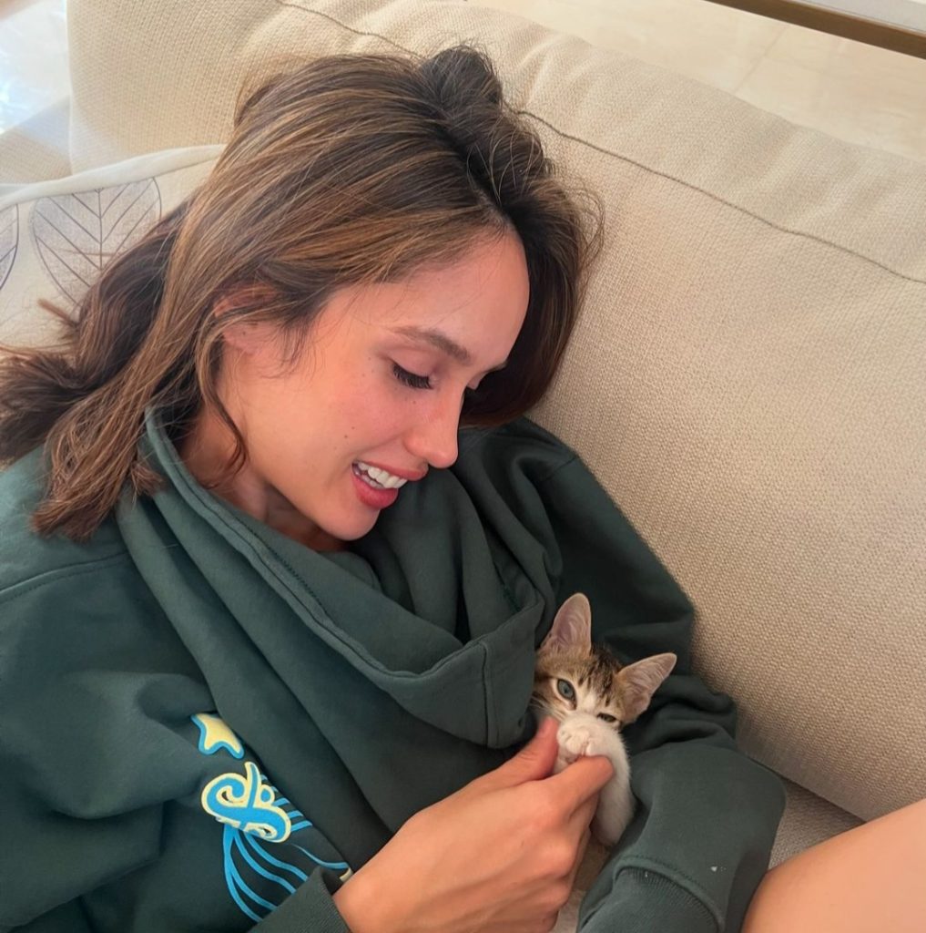 Cinta Laura, artis yang adopsi kucing liar (Foto: Instagram/claurakiehl)