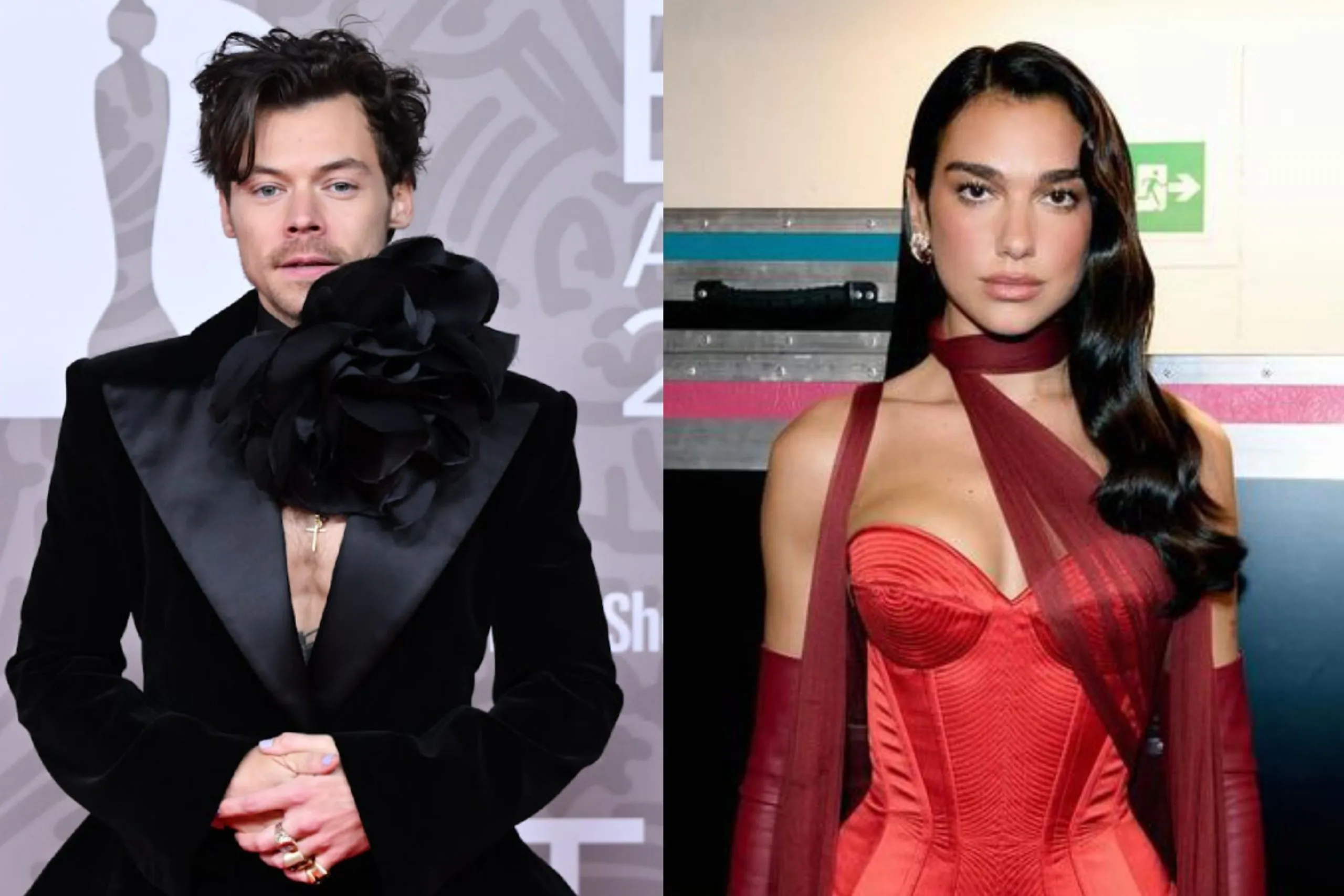 Harry Styles dan Dua Lipa Jadi Artis Terkaya di Bawah 30 Tahun